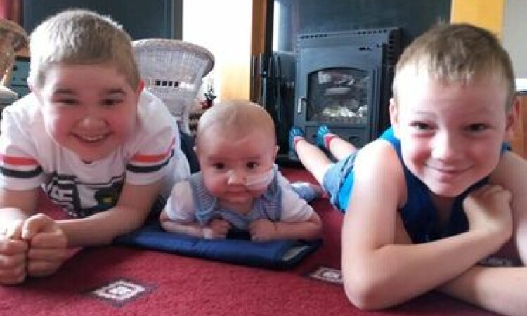 Adam brothers
