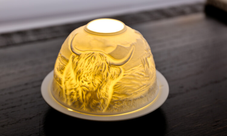 LD90097 Highland Cow ON